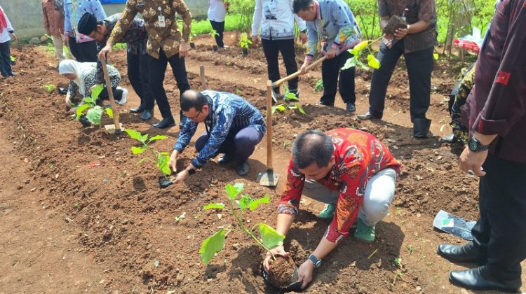 Lahan KUA Ciracas Disulap Jadi Urbang Framing