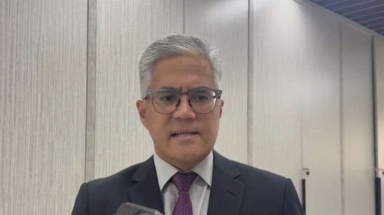WNI yang Bertemu Kelompok Oposisi Myanmar dapat Amnesti
